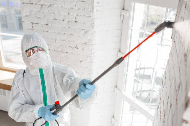 Best Forensic Mold Investigation  in Medical Lake, WA