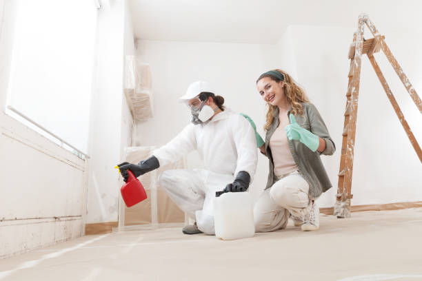 Best Attic Mold Removal  in Medical Lake, WA