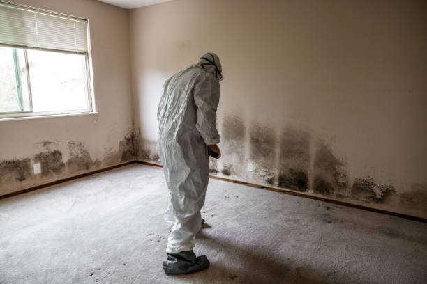 Best Emergency Mold Remediation  in Medical Lake, WA